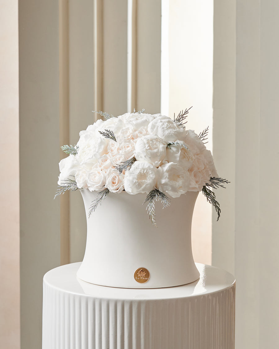 Creme Dome - Starlight