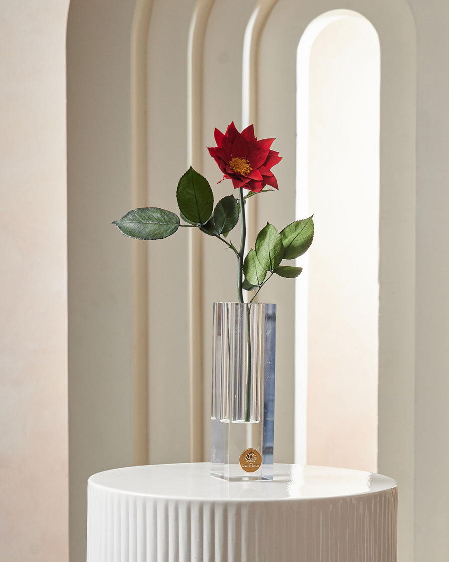 Poinsettia Single Stem