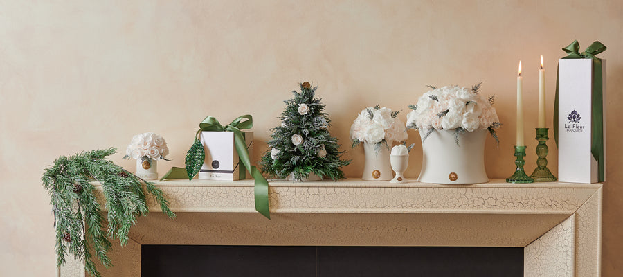 Creme Dome - Starlight