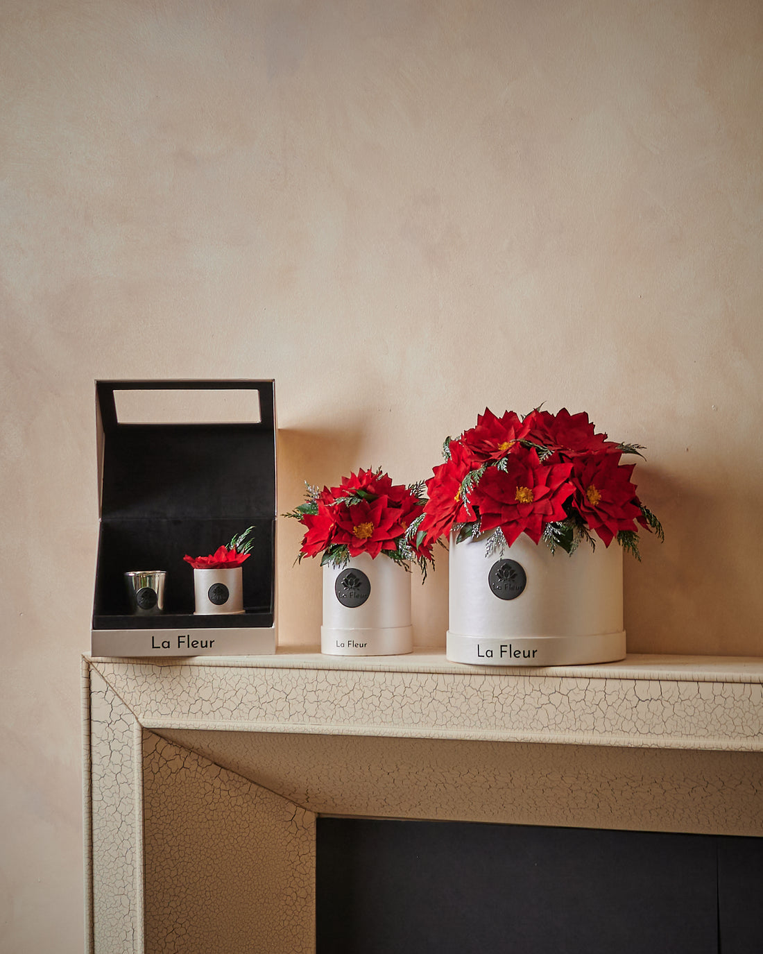Poinsettia Petite Dome