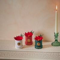 Holiday Mini - Poinsettia