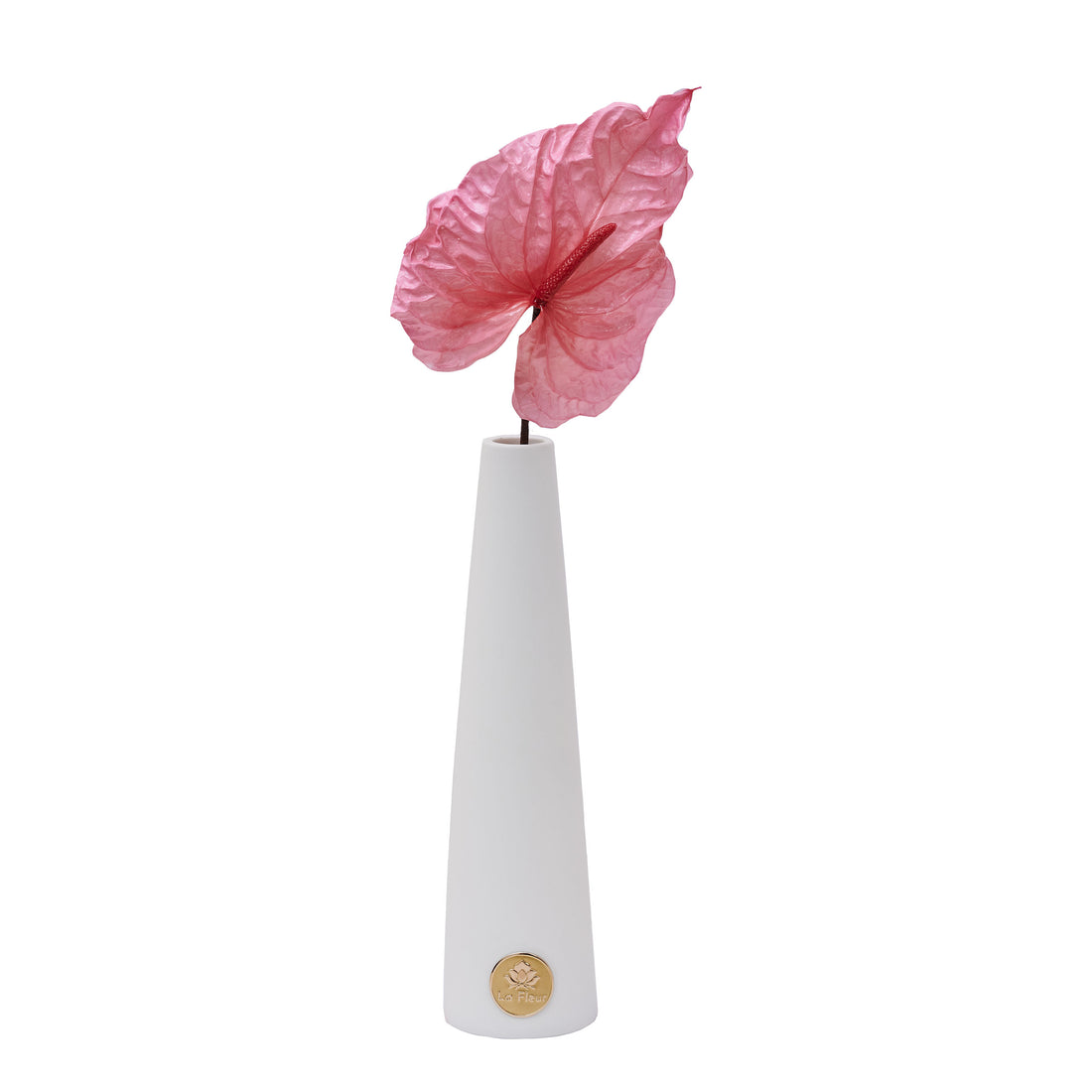 Anthurium Single Stem by La Fleur Lifetime Flowers