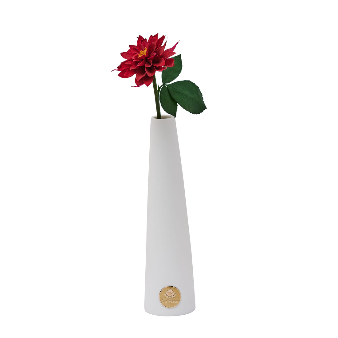 Dahlia Single Stem by La Fleur Lifetime Flowers