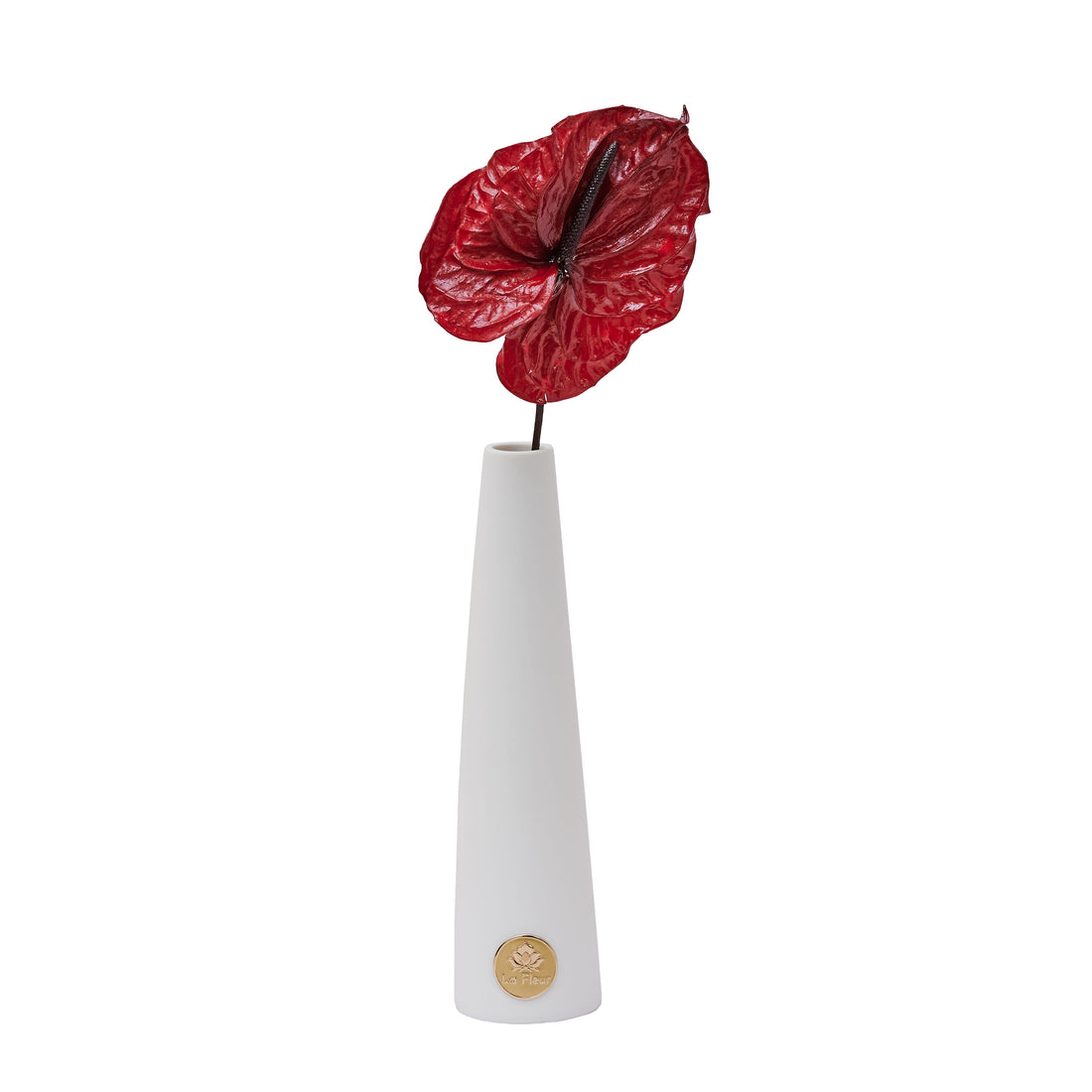 Anthurium Single Stem by La Fleur Lifetime Flowers