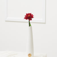 Dahlia Single Stem by La Fleur Lifetime Flowers