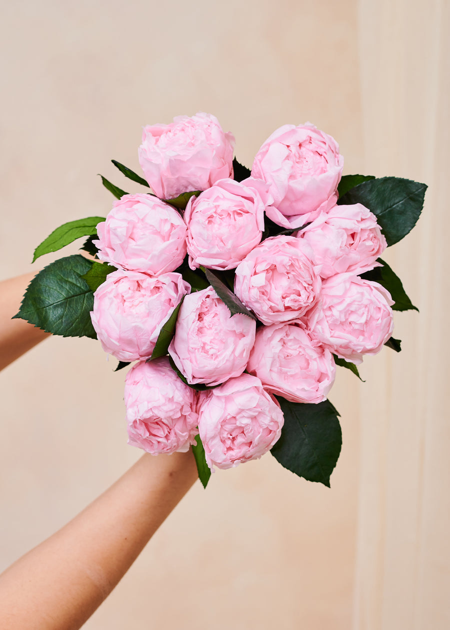 Laiton Dozen - Peonies by La Fleur Lifetime Flowers