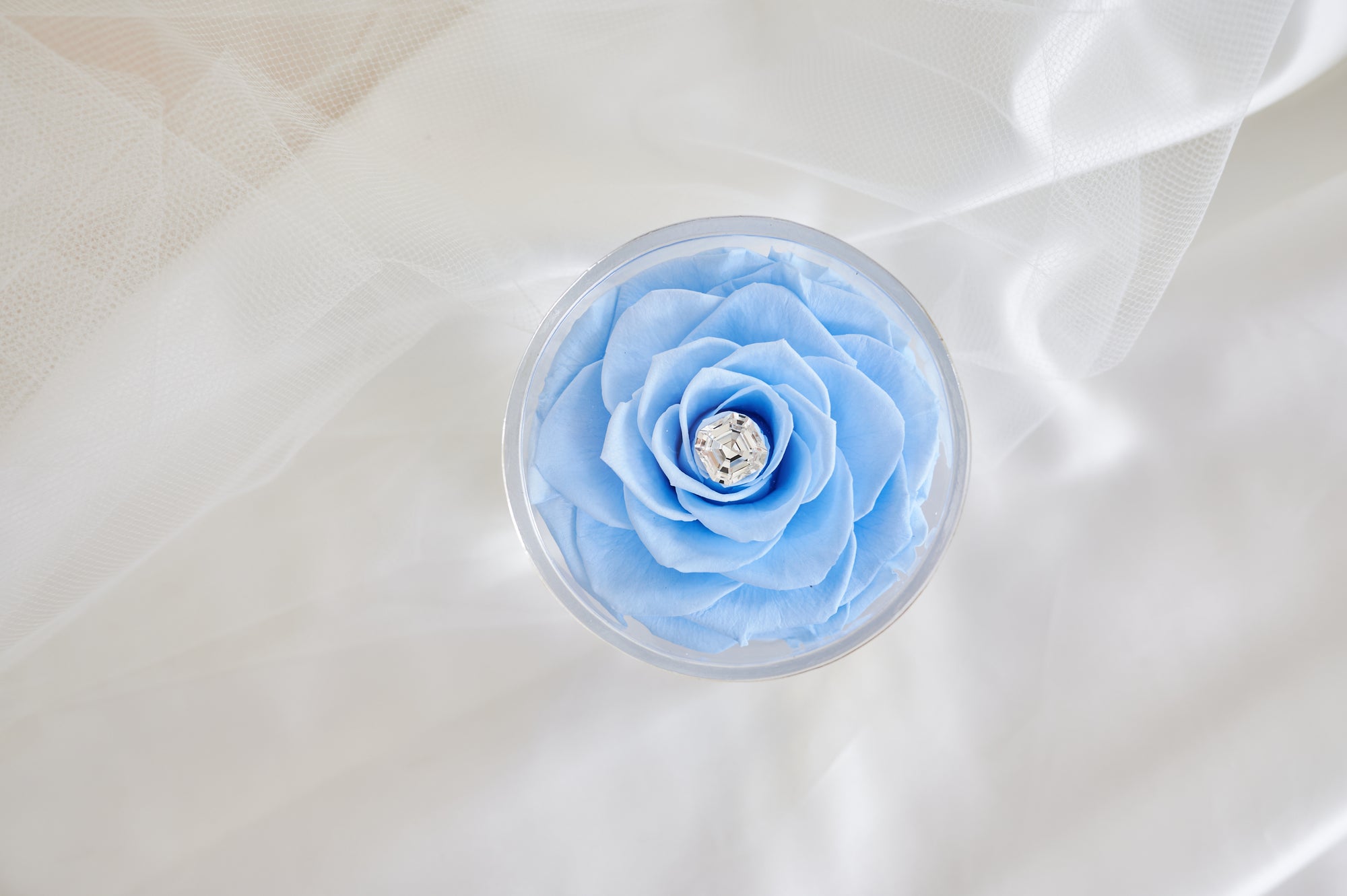 Bridal Acrylic - Single by La Fleur Lifetime Flowers