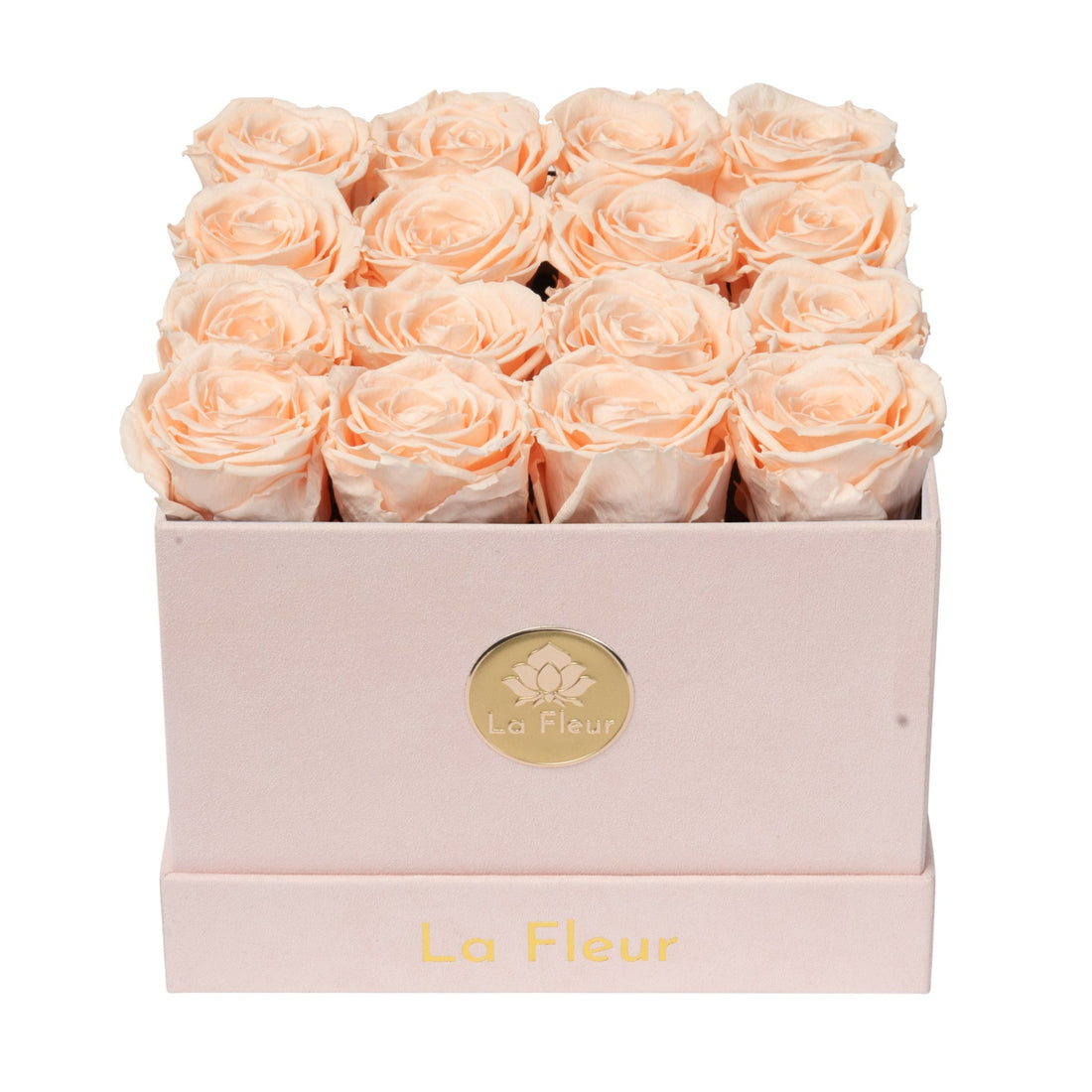 Petite Square - Blush Velvet by La Fleur Lifetime Flowers