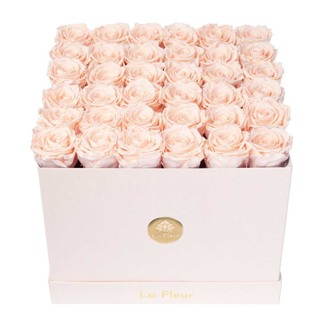 Grande Square - Blush Velvet by La Fleur Lifetime Flowers