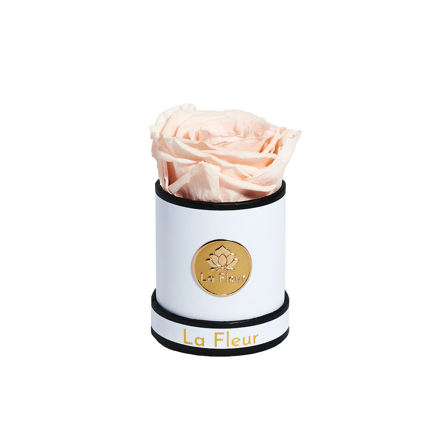 Mini by La Fleur Lifetime Flowers