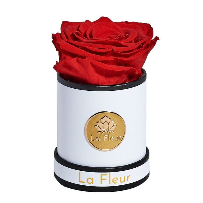 Mini by La Fleur Lifetime Flowers