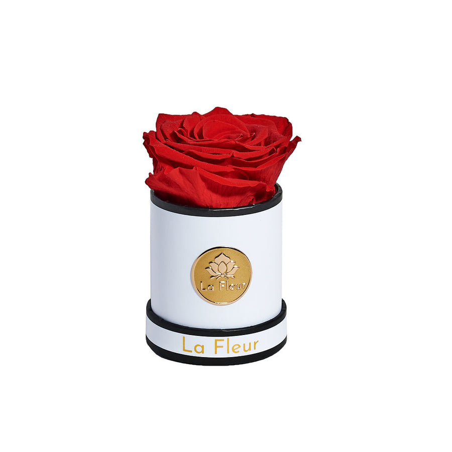 Mini by La Fleur Lifetime Flowers