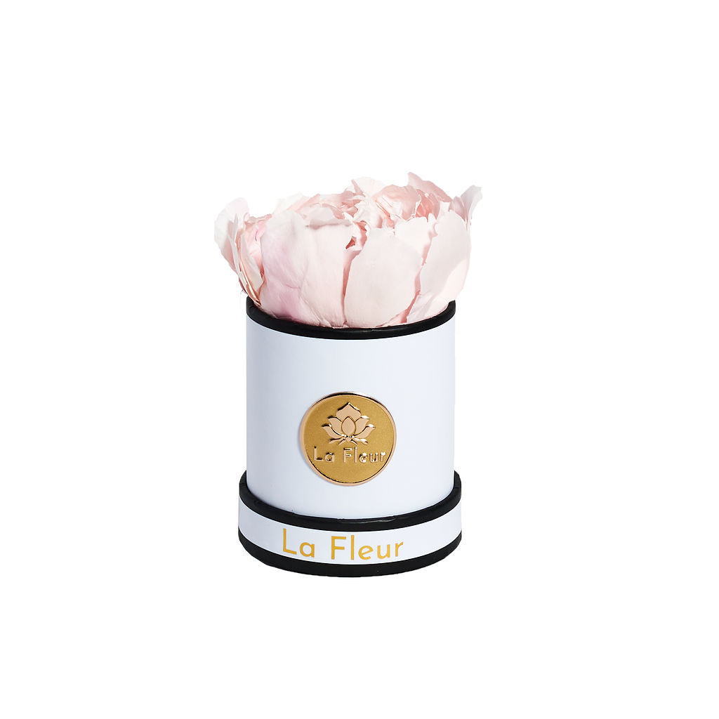 Mini by La Fleur Lifetime Flowers