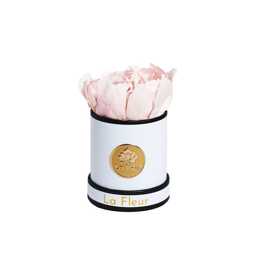 Mini by La Fleur Lifetime Flowers