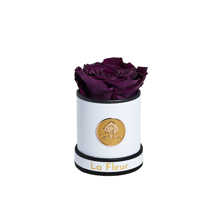 Mini by La Fleur Lifetime Flowers