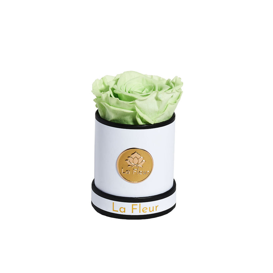 Mini by La Fleur Lifetime Flowers