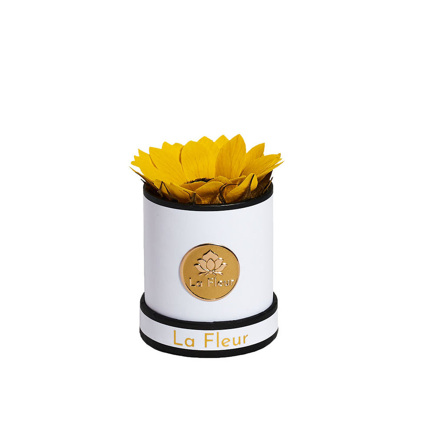 Mini by La Fleur Lifetime Flowers