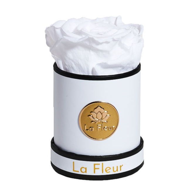 Mini by La Fleur Lifetime Flowers