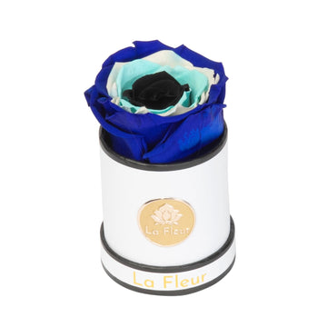 Evil Eye Mini by La Fleur Lifetime Flowers