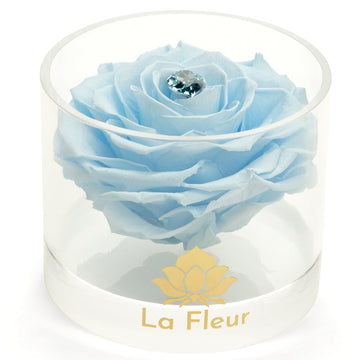 Birthstone Collection - March by La Fleur Lifetime Flowers