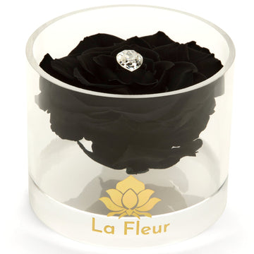 Birthstone Collection - April by La Fleur Lifetime Flowers