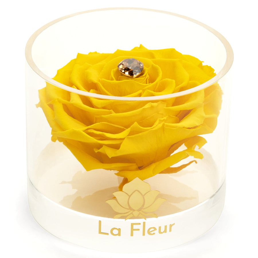 Birthstone Collection - November by La Fleur Lifetime Flowers