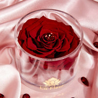 Birthstone Collection - January by La Fleur Lifetime Flowers