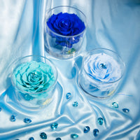 Birthstone Collection - September by La Fleur Lifetime Flowers