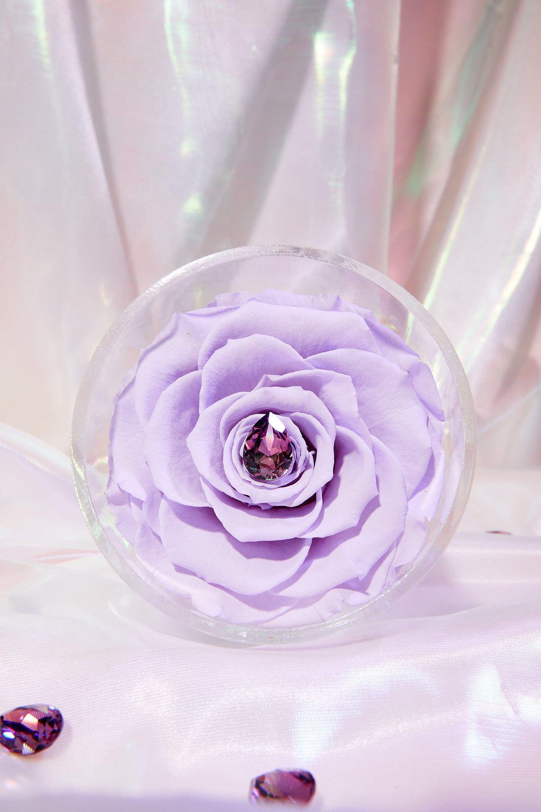 Birthstone Collection - February by La Fleur Lifetime Flowers