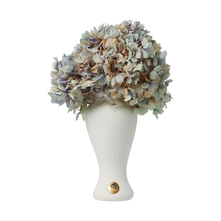 Petite Hydrangea by La Fleur Lifetime Flowers