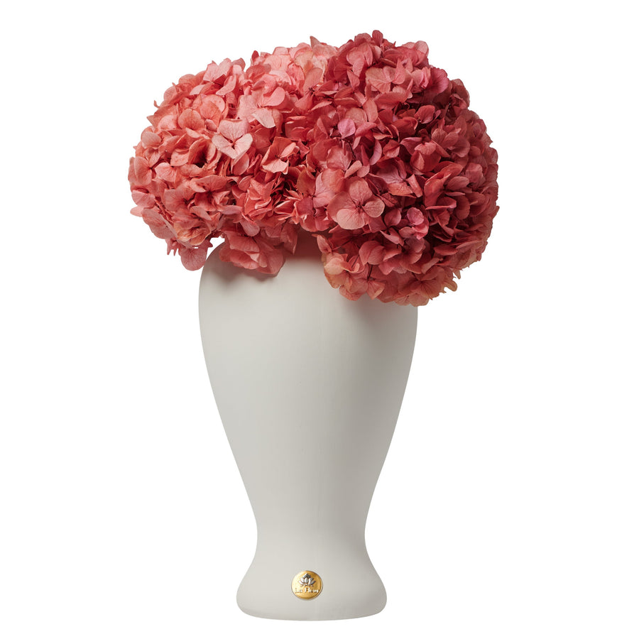 Grande Hydrangea by La Fleur Lifetime Flowers