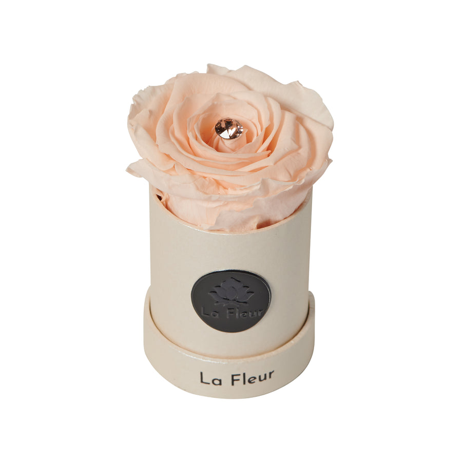 Radiance Mini by La Fleur Lifetime Flowers