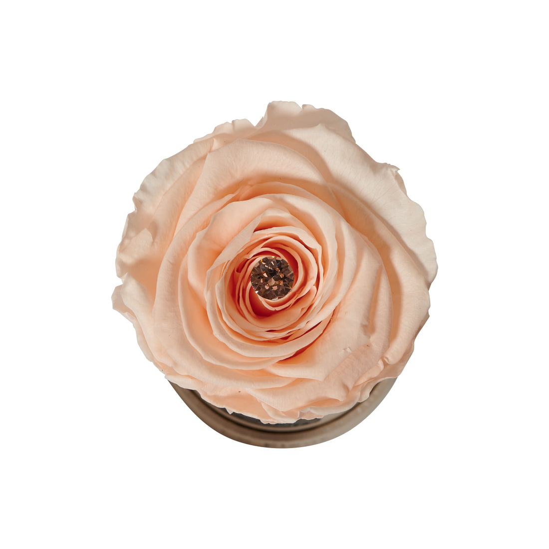 Radiance Mini by La Fleur Lifetime Flowers