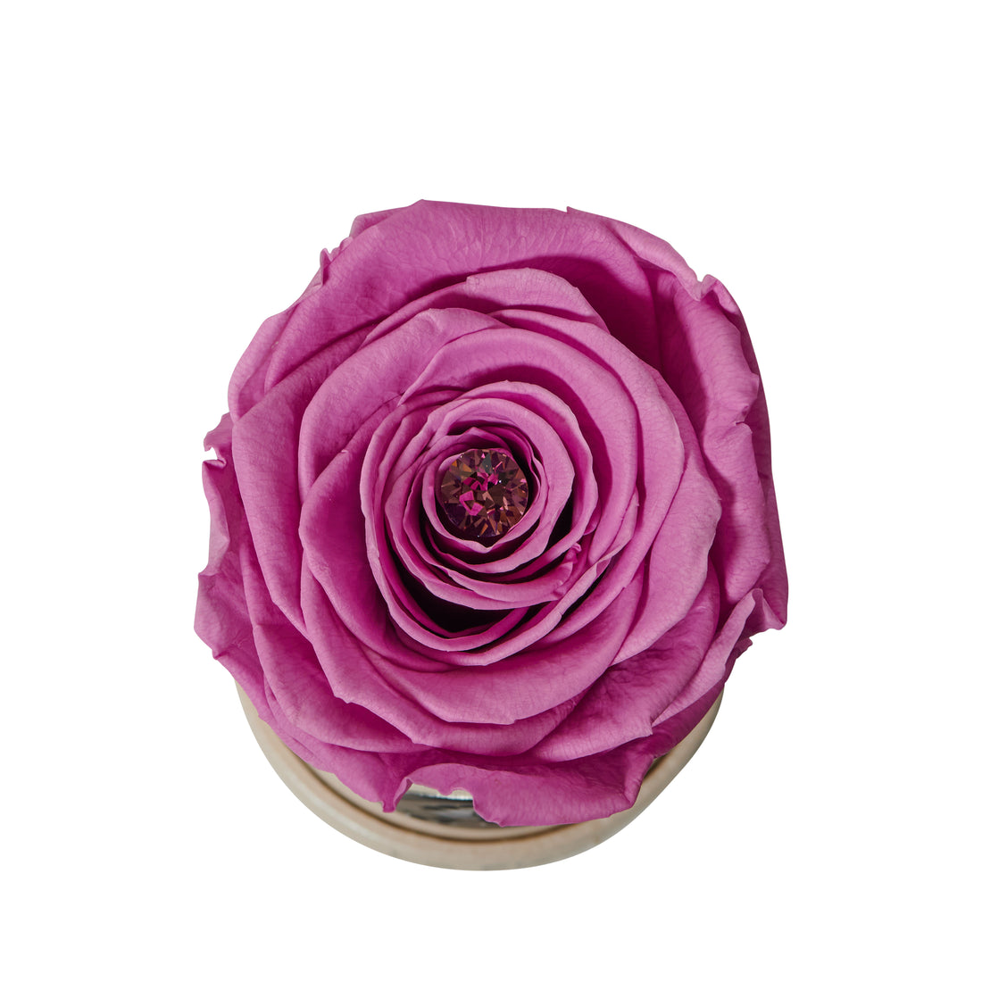 Radiance Mini by La Fleur Lifetime Flowers