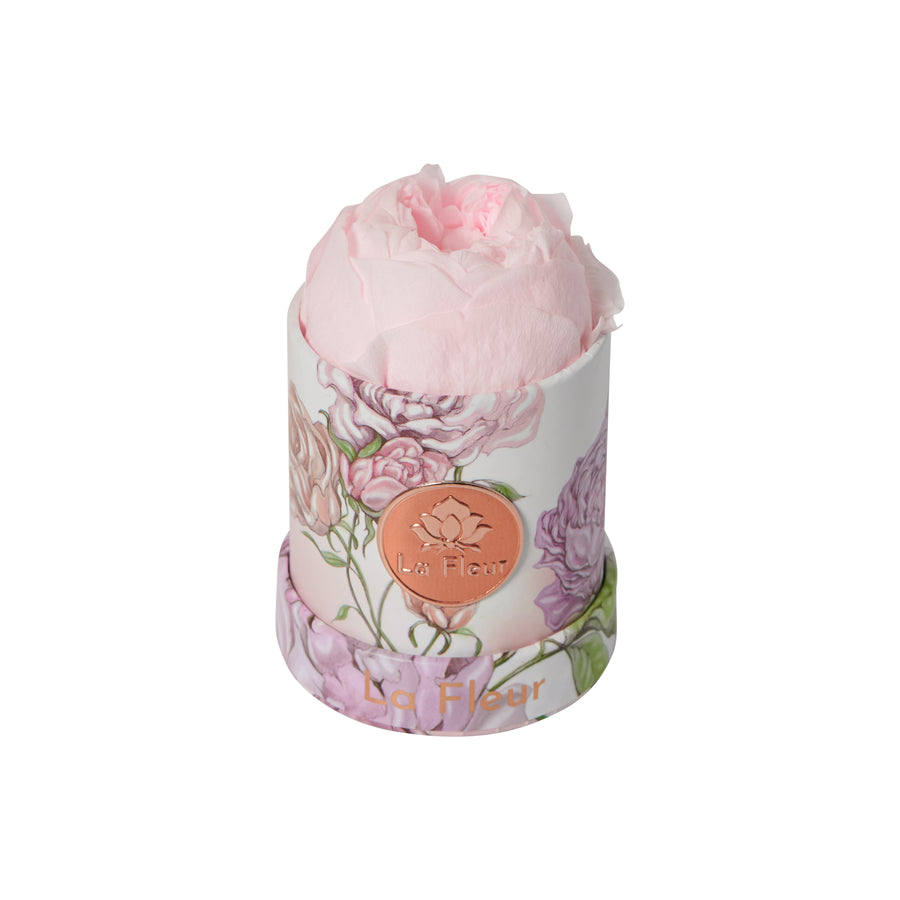 Mama's Garden Mini by La Fleur Lifetime Flowers