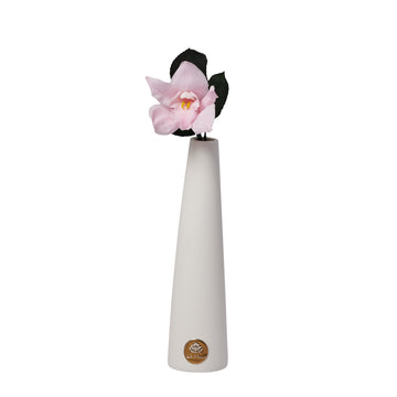 Orchid Single Stem by La Fleur Lifetime Flowers