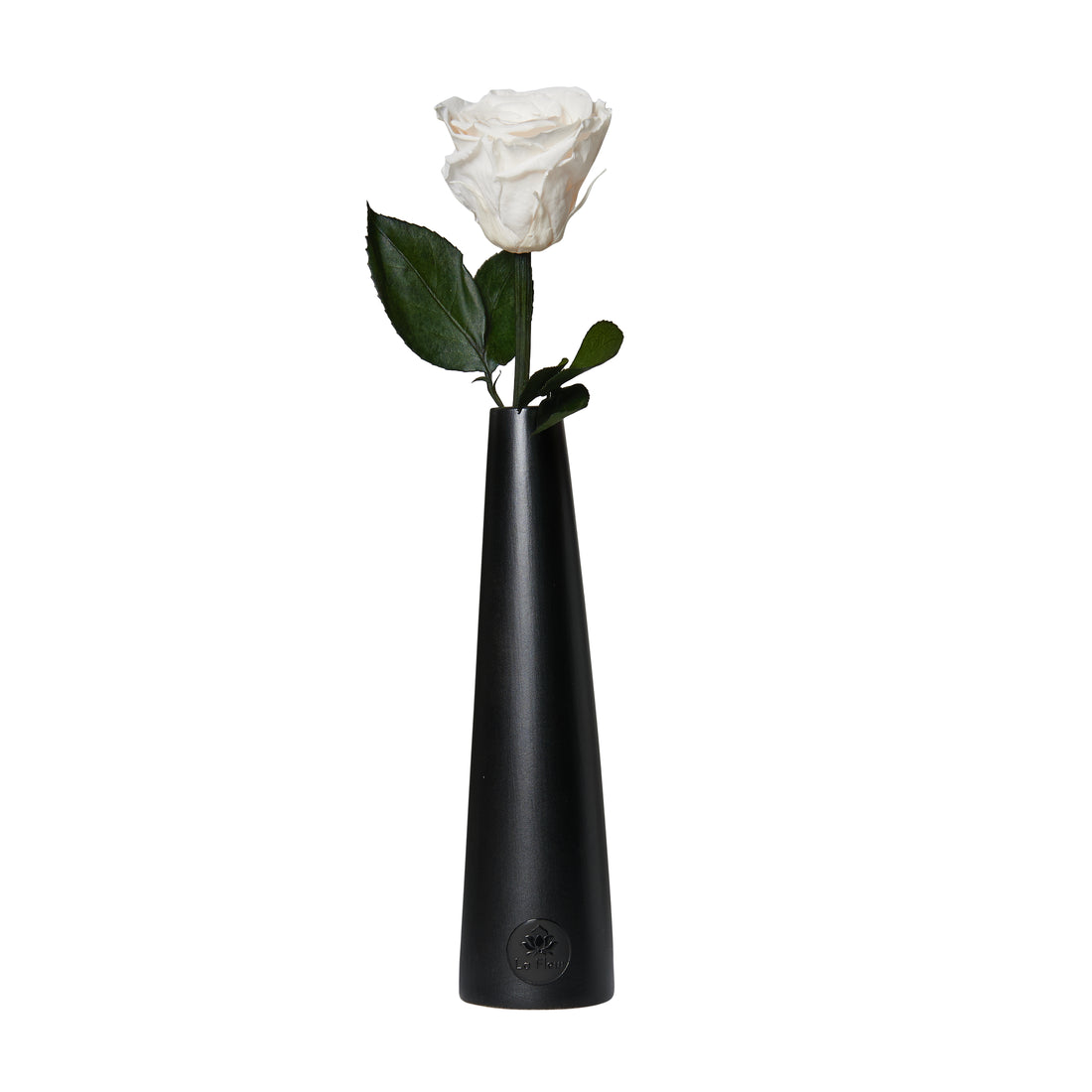 Noir Single Stem by La Fleur Lifetime Flowers