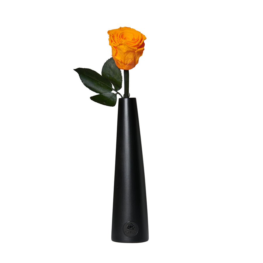 Noir Single Stem by La Fleur Lifetime Flowers