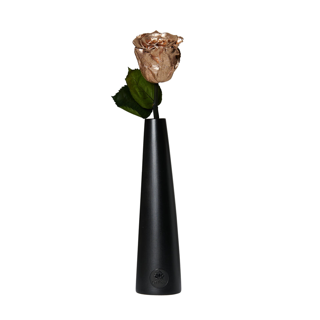 Noir Single Stem by La Fleur Lifetime Flowers