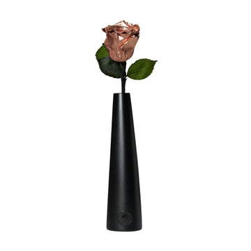 Noir Single Stem by La Fleur Lifetime Flowers