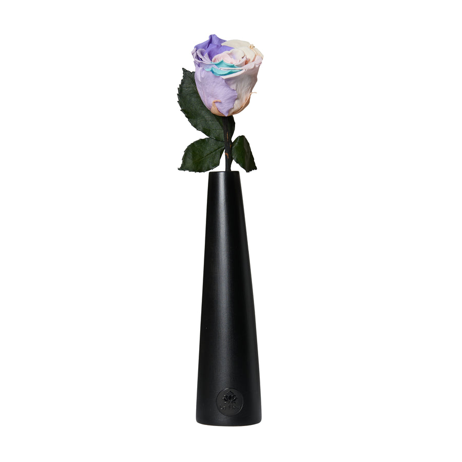 Noir Single Stem by La Fleur Lifetime Flowers
