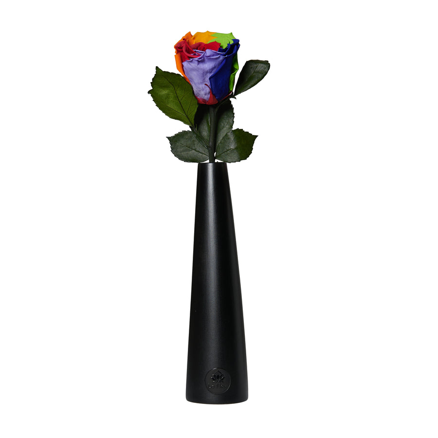 Noir Single Stem by La Fleur Lifetime Flowers