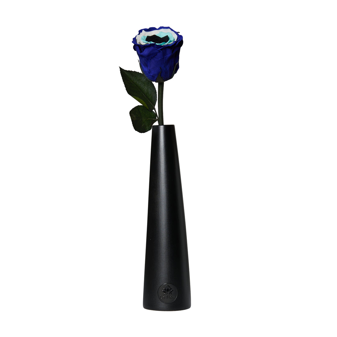 Noir Single Stem by La Fleur Lifetime Flowers