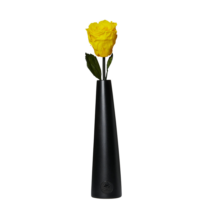 Noir Single Stem by La Fleur Lifetime Flowers