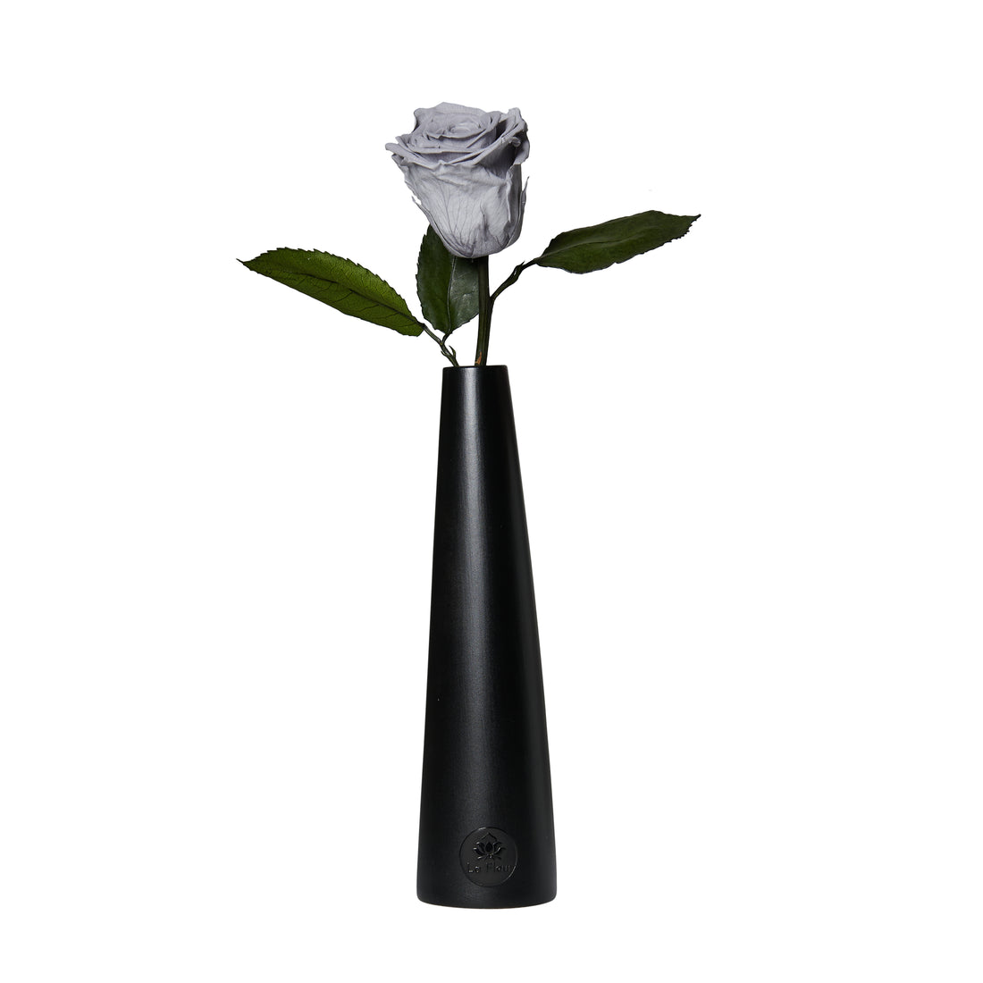 Noir Single Stem by La Fleur Lifetime Flowers