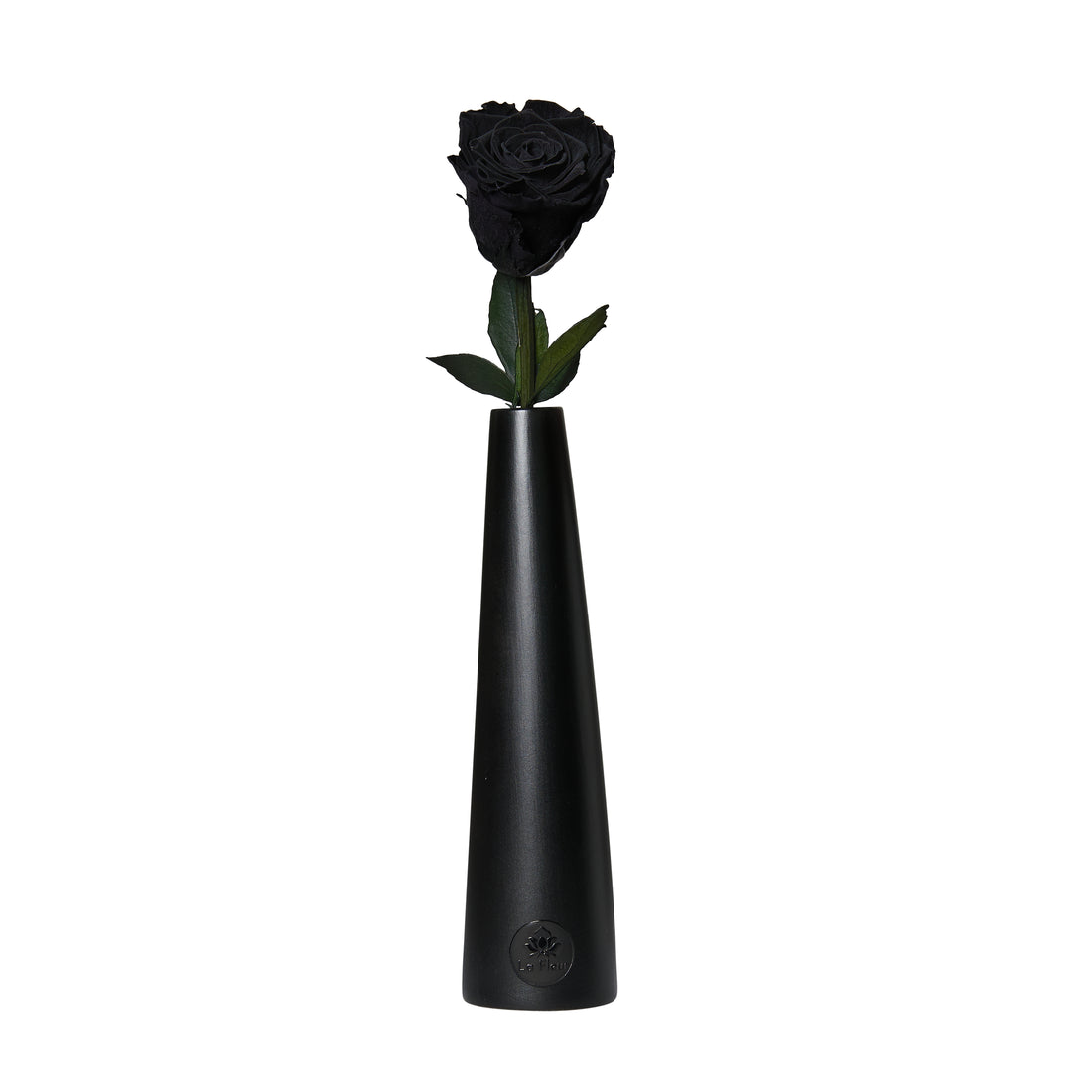 Noir Single Stem by La Fleur Lifetime Flowers