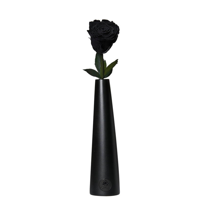 Noir Single Stem by La Fleur Lifetime Flowers