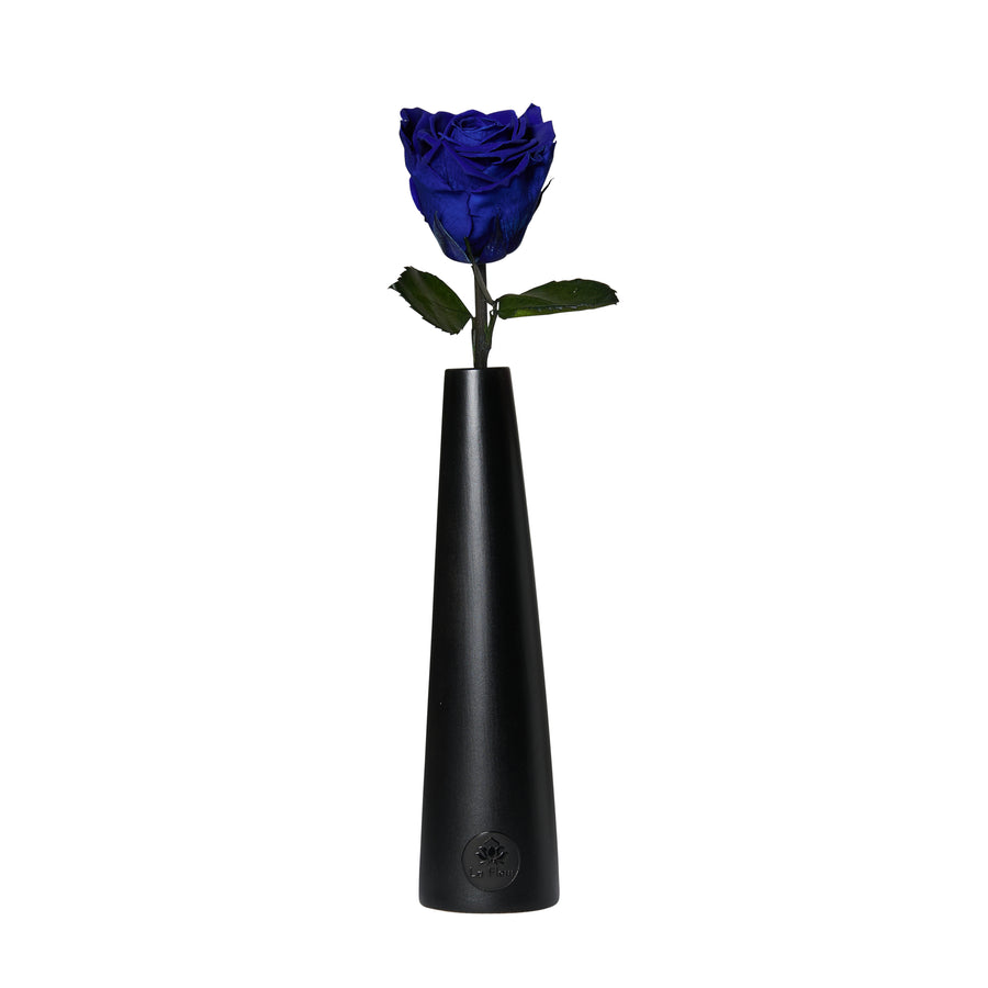 Noir Single Stem by La Fleur Lifetime Flowers