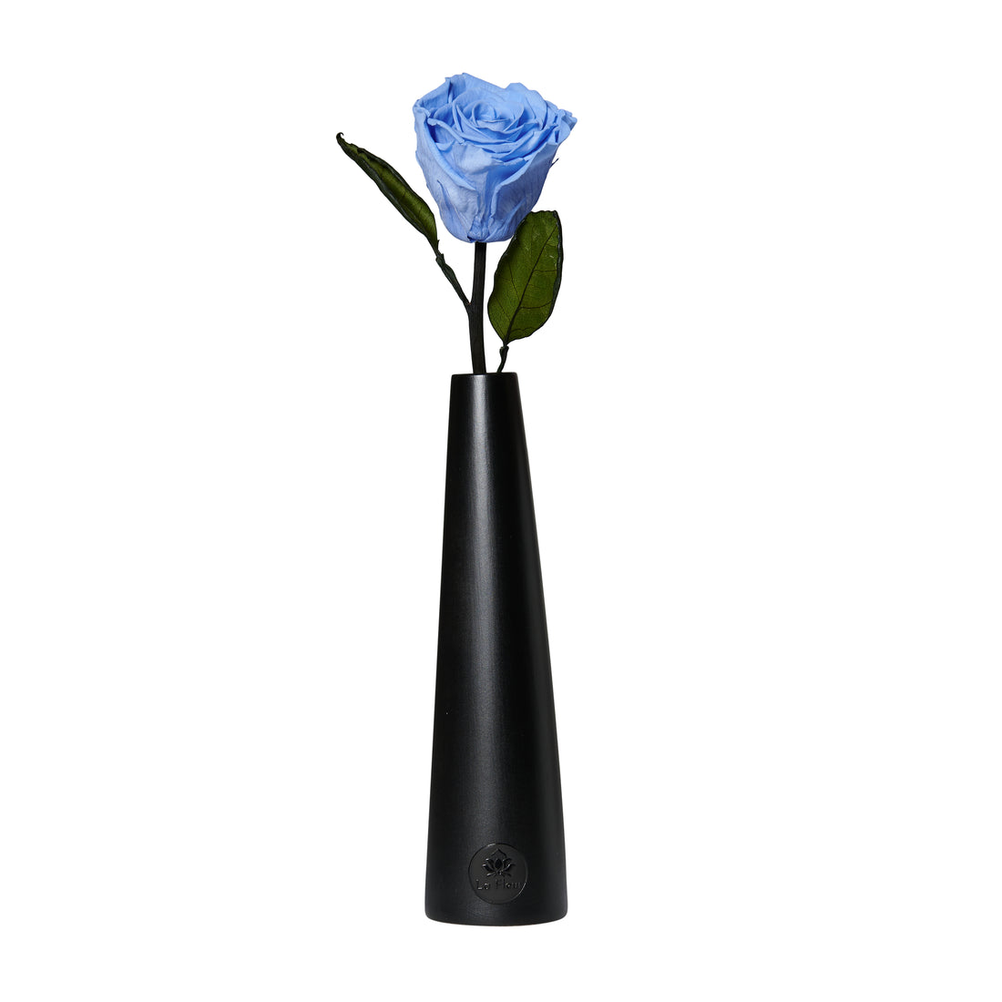 Noir Single Stem by La Fleur Lifetime Flowers
