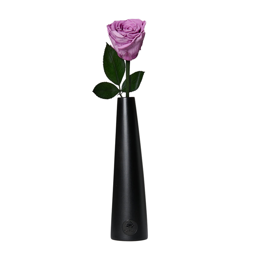 Noir Single Stem by La Fleur Lifetime Flowers